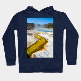 S curve Hoodie